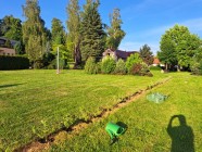 Výsadba v obci 2025
