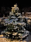 Rozsvícení vánočního stromu V Perálci a v Kutříně.