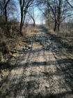 Demolice včelínu