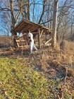 Demolice včelínu