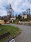Kácení bříz vedle budovy obecního úřadu