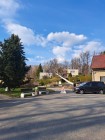 Kácení bříz vedle budovy obecního úřadu