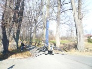 Péče o dřeviny v obcích Mikroregionu LITOMYŠLSKO - v obci PERÁLEC